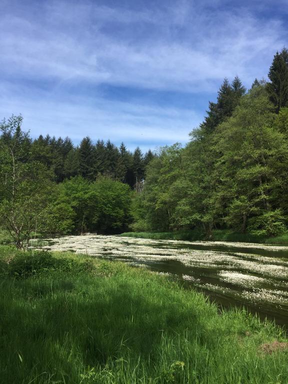 Hostellerie Le Prieure De Conques Herbeumont Eksteriør billede